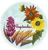 NEW FOR 2025-- A Year on Sugar Meadow