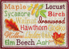 Leaf Peeper List | Machine Embroidery Mug Rug 2