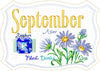 Birth Month Mug Rugs