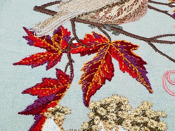 NEW FOR 2025-- A Year on Sugar Meadow