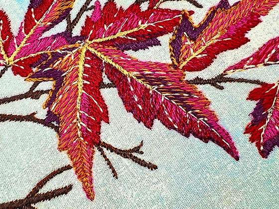 NEW FOR 2025-- A Year on Sugar Meadow