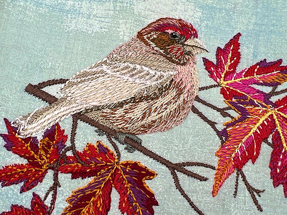 NEW FOR 2025-- A Year on Sugar Meadow