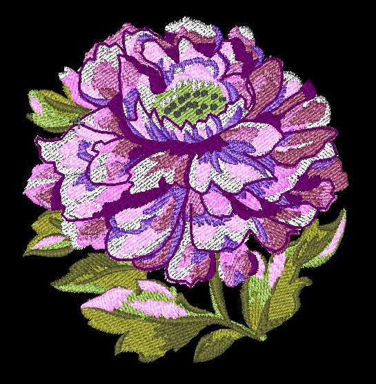 Roses Sketchbook | Machine Embroidery Design