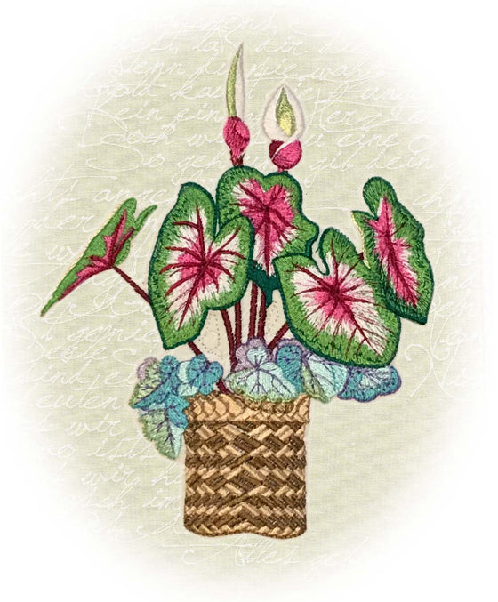 Caladiums | Flowers | Machine Embroidery Designs 7
