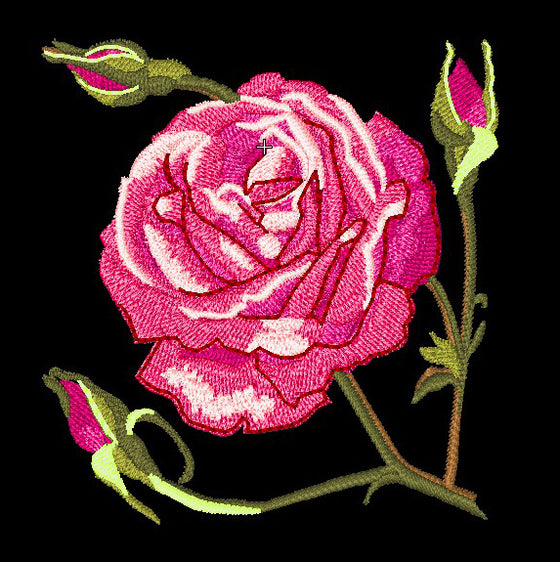 Roses Sketchbook | Machine Embroidery Design 2