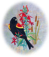 Cattail Cadet | Red-Winged Blackbird | Embroidery Design 3