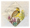 Heartland Song | Western Meadowlark | Embroidery Design