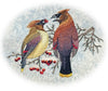 Sunday Offering | Cedar Waxwings | Embroidery Design 3