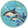 Back to School | Dolphin | Machine Embroidery Design 3
