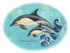 Back to School | Dolphin | Machine Embroidery Design 4