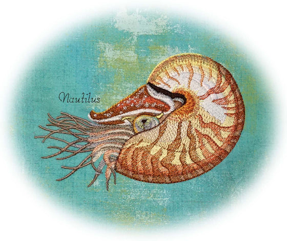 Stitches of the Sea-- Set of 12 Sea Creatures